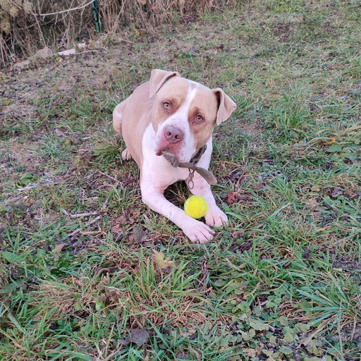 max - photo 2